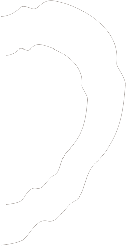 line-shape